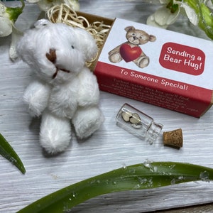 San Valentino, Fidanzata, Fidanzato, Moglie, Marito, Fidanzata, Fidanzato, Abbraccio dell'orso, Abbraccio in una scatola, Persona amata, Cwtch, Pegno d'amore, Al mio Valentino