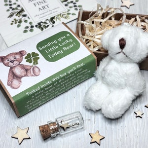 Senden eines glücklichen Bären, viel Glück, der an Sie denkt, Prüfungsmaskottchen, glückliches Maskottchen, Glücksbringer, Führerscheinprüfung, Briefkastengeschenk, Streichholzschachtelgeschenk.