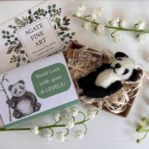 Buona fortuna per i tuoi esami di maturità, panda fortunato tascabile, portafortuna, mascotte dell'esame di maturità, fai del tuo meglio, sono orgoglioso di te, regalo da mettere nella cassetta postale.