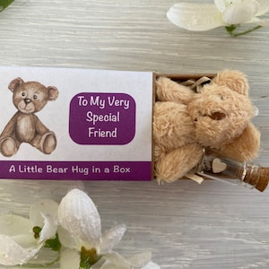 Berenknuffel in een doos, heel speciale vriend, bedankje, voor altijd vrienden, vriendschapspenning, brievenbuscadeau, beste vriend, beste vriend, vriendin