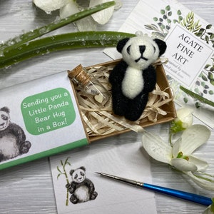 Abrazo de oso, abrazo en una caja, regalo de oso panda, regalo de simpatía, pensando en ti, enviando un abrazo, regalo de buzón, regalo de buzón, regalo postal de abrazo de oso