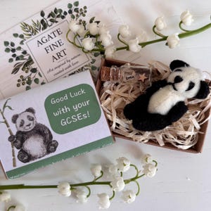 Buona fortuna per i tuoi GCSE, panda fortunato tascabile, portafortuna, mascotte dell'esame GCSE, fai del tuo meglio, sono orgoglioso di te, regalo da mettere nella cassetta postale.