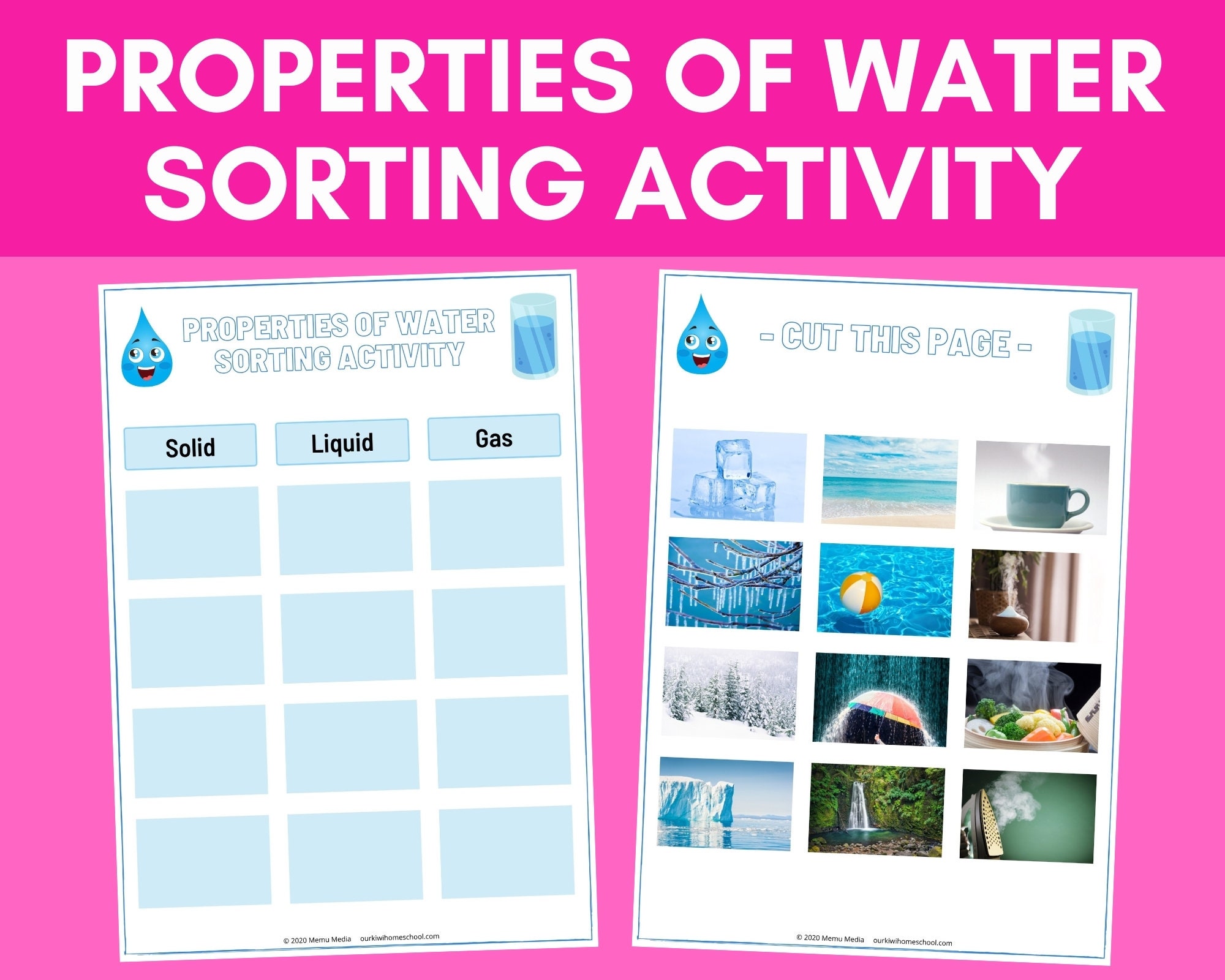 Properties of Water Sorting Activity Montessori Science Game Etsy UK