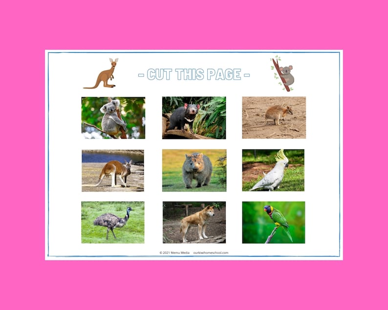 Australian Animals Matching Game | Montessori Preschool Activity (PDF ...