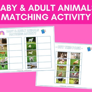 Baby & Adult Animals Matching Activity | Montessori Sorting Game ...