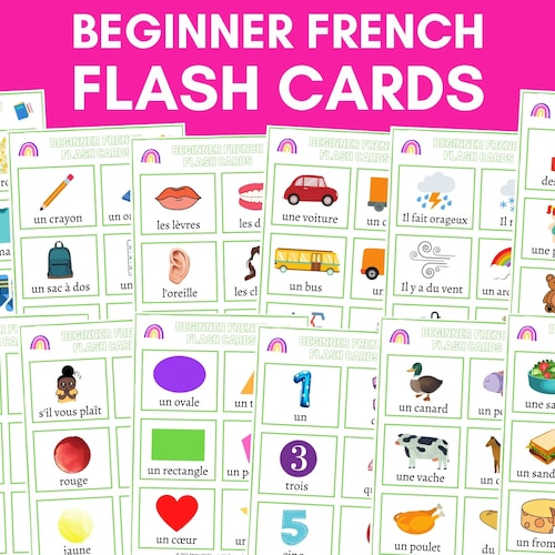 Beginner French Flash Cards French Learning Resource Etsy