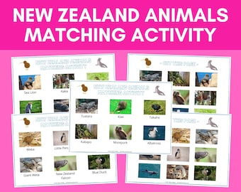 New Zealand Animals Matching Activity | Preschool Sorting Game | Homeschool Resource