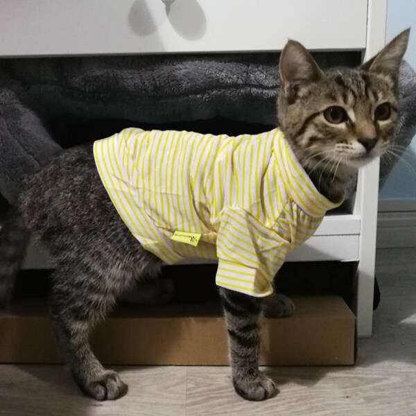 Cute Stripe Cat Shirt | Soft Cotton Vest for Summer | Fun Outfit for Cats | Great Gift for Animal Enthusiasts  Ideal for Cat Unique Dress-up