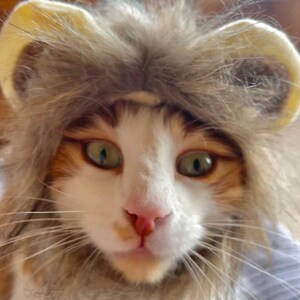 Funny Lion Mane Cat Wig Hat | Pets Clothes Cap Fancy Party Dogs Cosplay Costume | Kitten Puppy Hat with Ears Accessories | Cat Wig Lion
