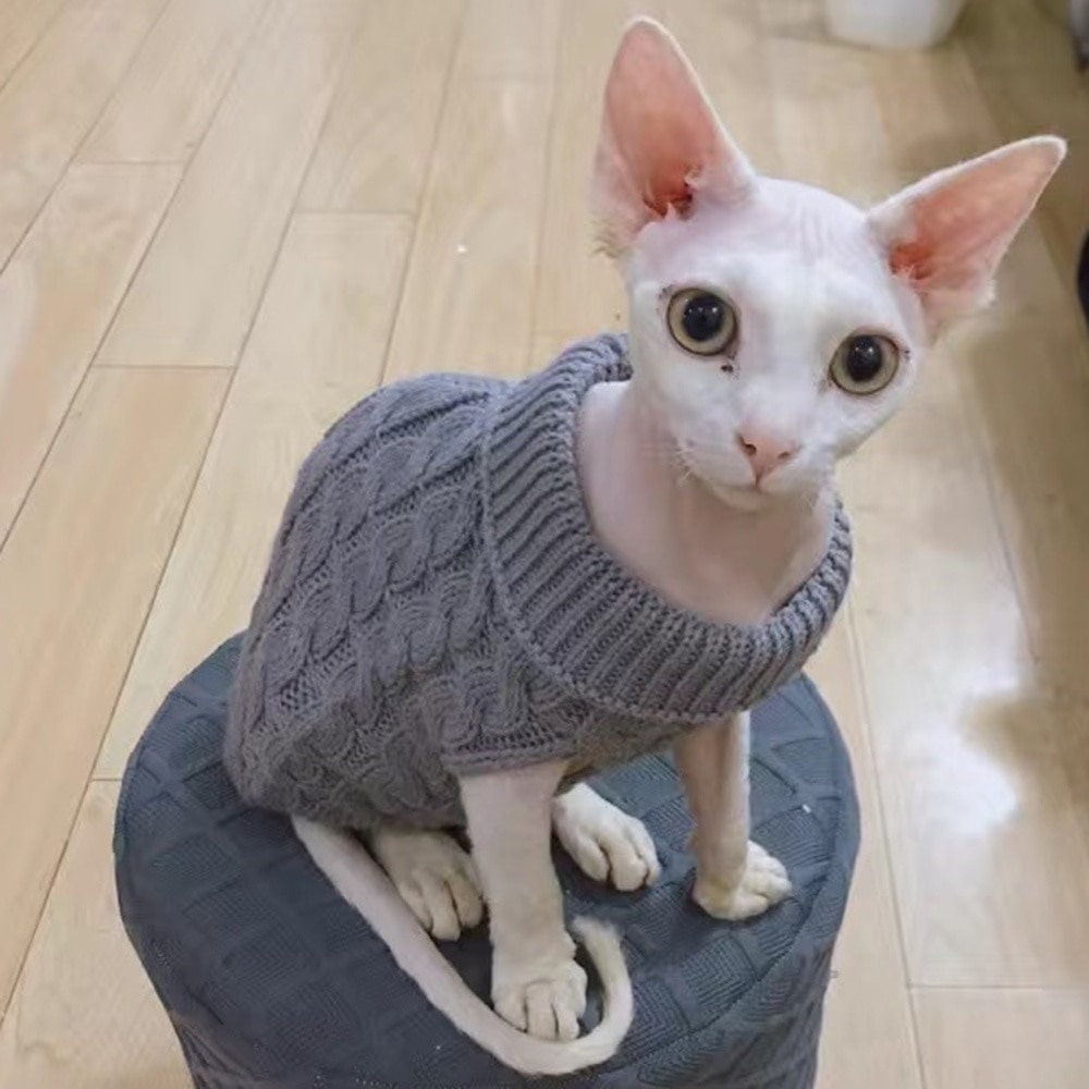Pretty, fancy, fashionable Sphynx Cat sweater
