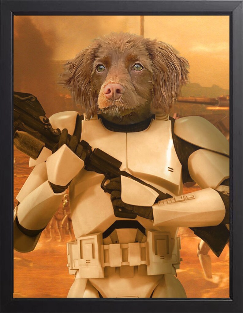 Star Wars Custom Pet Portrait Canvas Framed or Poster image 5