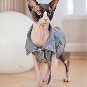 Cat in clearance jean jacket