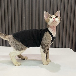 Conditioning Summer Cat Clothes | Sphinx Cute Vest Pets Thicken Coat | Kittens Costumes Jacket Chihuahua Breathable Air | Cat Suit for Party