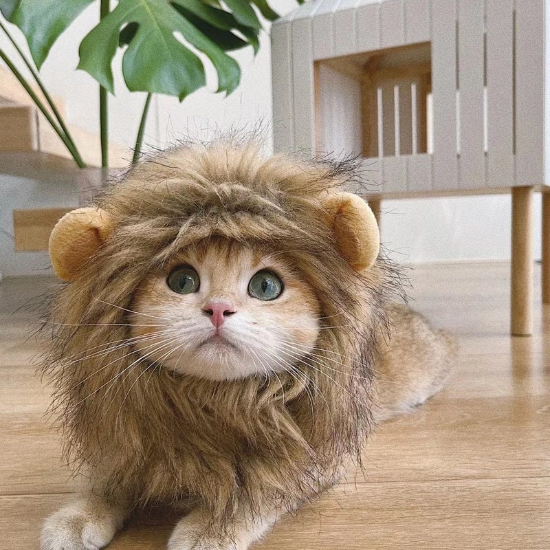 Lion Costumes For Cats lion-costumes-for-cats