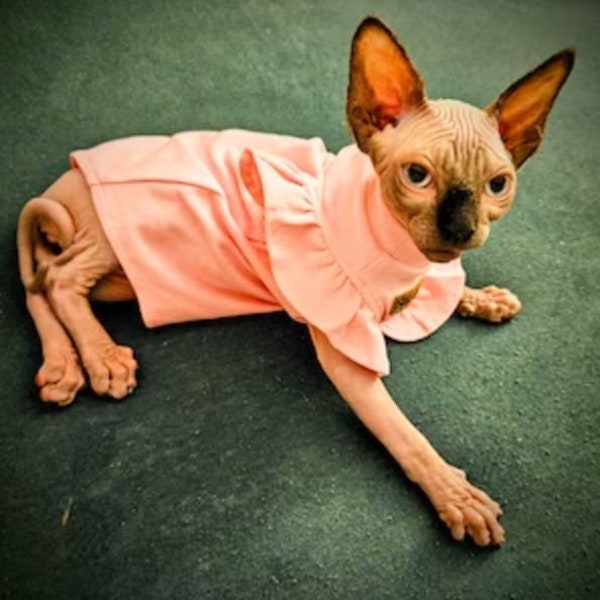 Luxe Sphynx kattenkleding | Zomerkattenkostuum voor haarloze katten | Kleding Kleine Franse Sphynx Kat Puppy Kostuum Kittens Leuk Vest