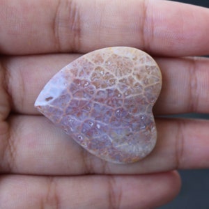 Fossil coral cabochon