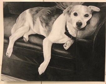 Custom Pet Pencil Drawing From Photo With Background
