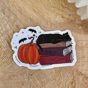 May include: A black cat sleeping on a stack of books with a small orange pumpkin in front of the books. There are small bats and stars in the background.