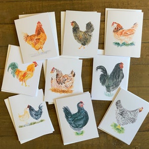 Chicken Variety Pack Note Cards- Original Watercolor Set of 9 Chickens- Barred Rock, Australorp, Roosters, Favorelles, & more with Envelopes