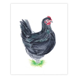 Black Australorp Watercolor Print