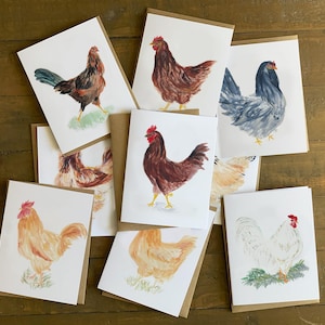 May include: A collection of watercolor greeting cards featuring various chicken illustrations. The cards showcase roosters and hens in shades of brown, red, white, and blue, with green grass accents. The cards are on a brown wooden surface.