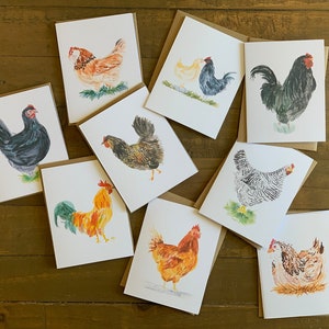 Chicken Variety Pack blanco notitiekaarten - aquarel set van 9 - Barred Rock, Australorp, Roosters, Favorelles en meer met kraftpapier-enveloppen