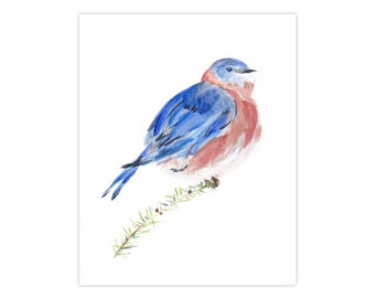 Bluebird Watercolor Art Print