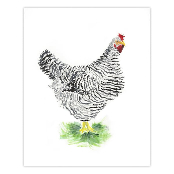 Barred Rock Chicken Watercolor Art Print