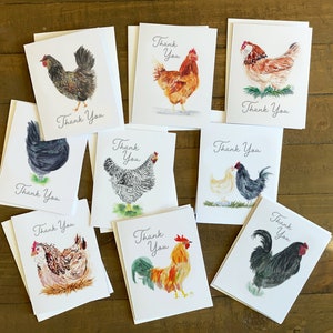 Gracias Pollo Variedad Paquete Tarjetas de Notas- Conjunto de acuarela original de 9- Roca barrada, Australorp, Gallo, Gallina y más con sobres blancos
