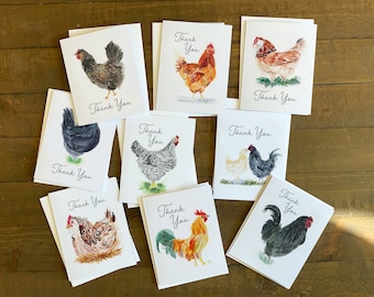 Thank You Chicken Variety Pack Note Cards- Original Watercolor Set of 9- Barred Rock, Australorp, Rooster, Hen & more w/ White Envelopes