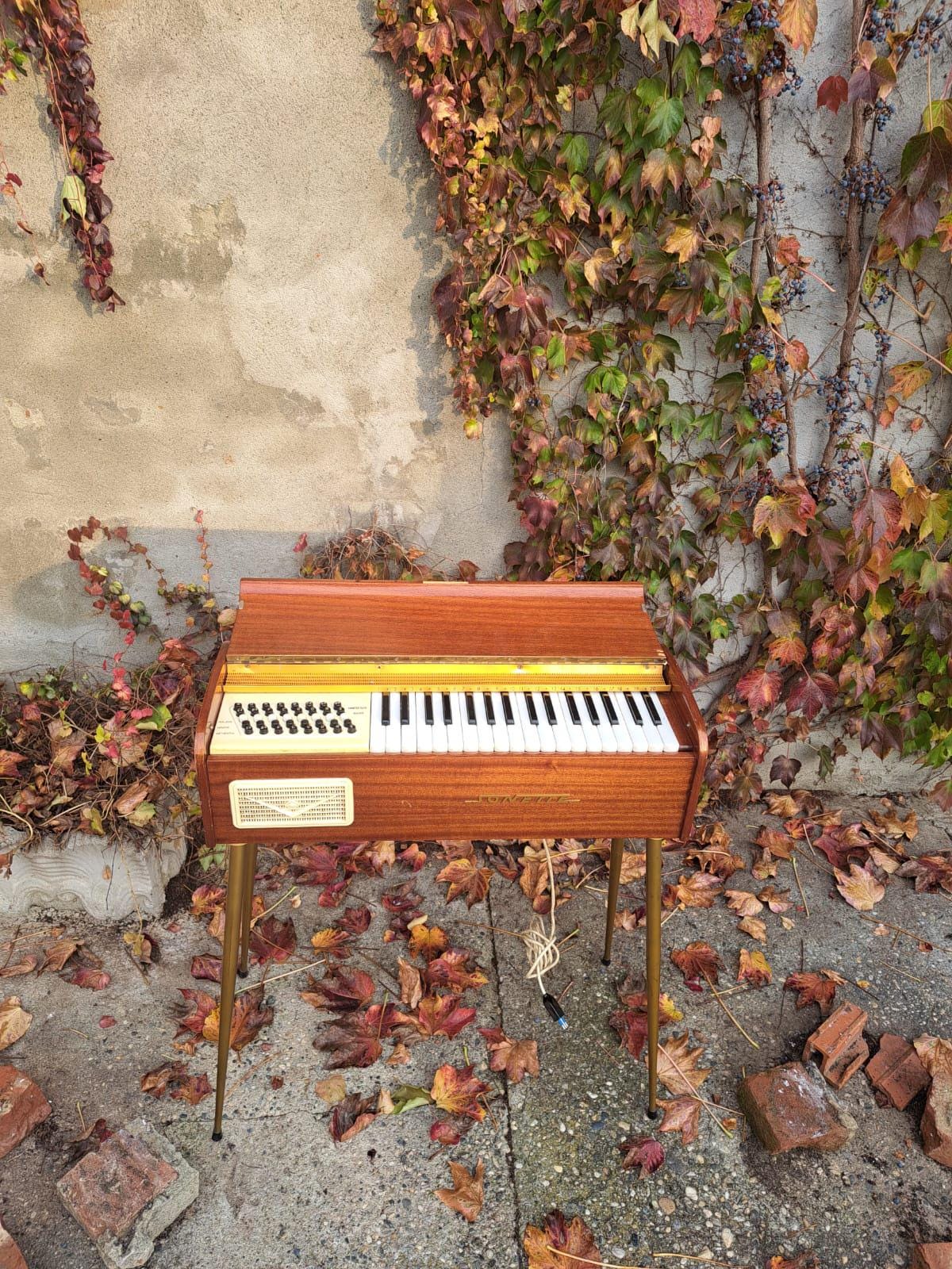 Vintage Electric Organ - Etsy Canada