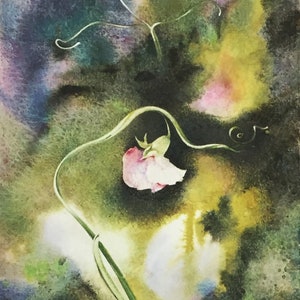 Sweet Pea Giclée Print Art Watercolor Painting By Katia Andreeva Floral Art 6&quot;x 14&quot; Flower Painting