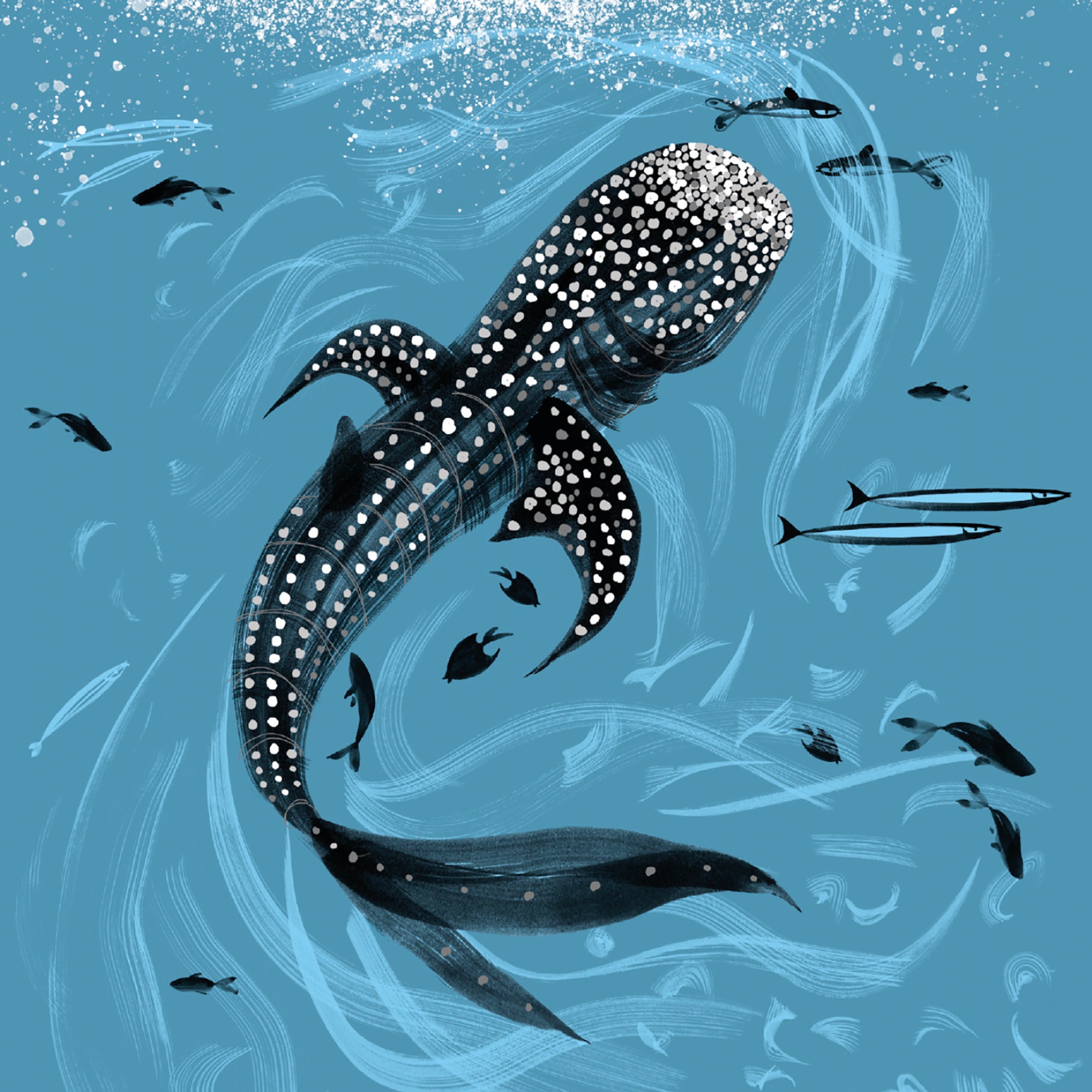 Walhai-Karte Walhai-Illustration Hai-Karte speichern Sie | Etsy