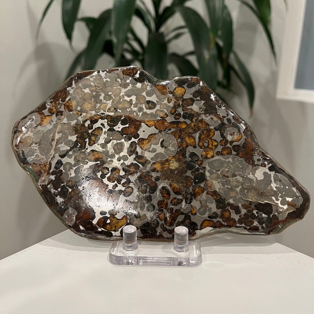 Météorite XXL SERICHO Grand morceau avec des olivines - 687