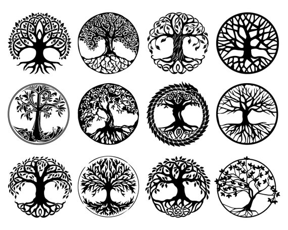 Tree of life svg png bundle Tree of life svg png Celtic | Etsy