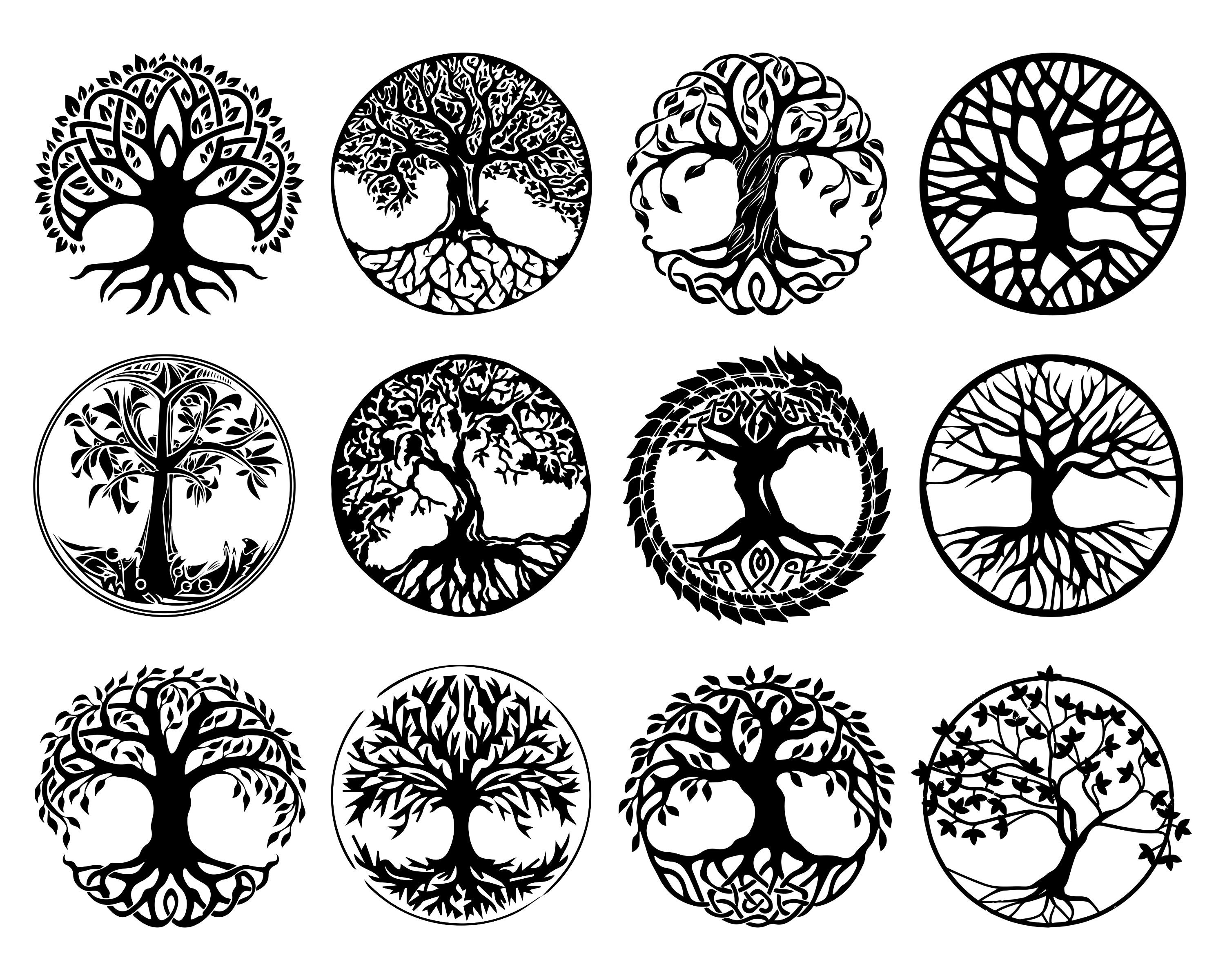 Tree of life svg, png bundle, Tree of life svg, png, Celtic Tree of l…