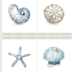 May include: A set of four watercolor illustrations of seashells. The illustrations feature a nautilus shell, a sand dollar, a starfish, and a scallop shell. All of the shells are painted in shades of blue and brown.