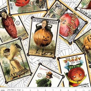 May include: A collection of vintage seed packets with illustrations of vegetables and fruits. The packets feature a spiderweb design and include text such as "Sonny Roy Seed Co.", "Home Grown", "October Onions", "Hayrider", and "Cucumber".