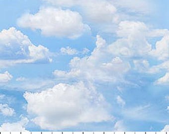 Nuages annonciateurs du beau temps sur un ciel bleu clair de la côte atlantique 28014-42 de Northcott Vendu par incréments d'un demi-mètre