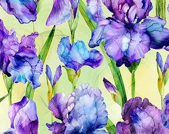Grand iris dispersés aux couleurs printanières sur fond ensoleillé avec répétition de 31 pouces sur la largeur DP2613-74 de Northcott par incréments de 1/2 yd