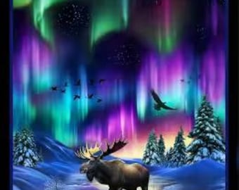PANNEAU : Aurora Lights Back Drop d'un orignal dans un ruisseau 24 x 44 po 734 noir du studio d'Elizbeth vendu par panneau de 25 po.