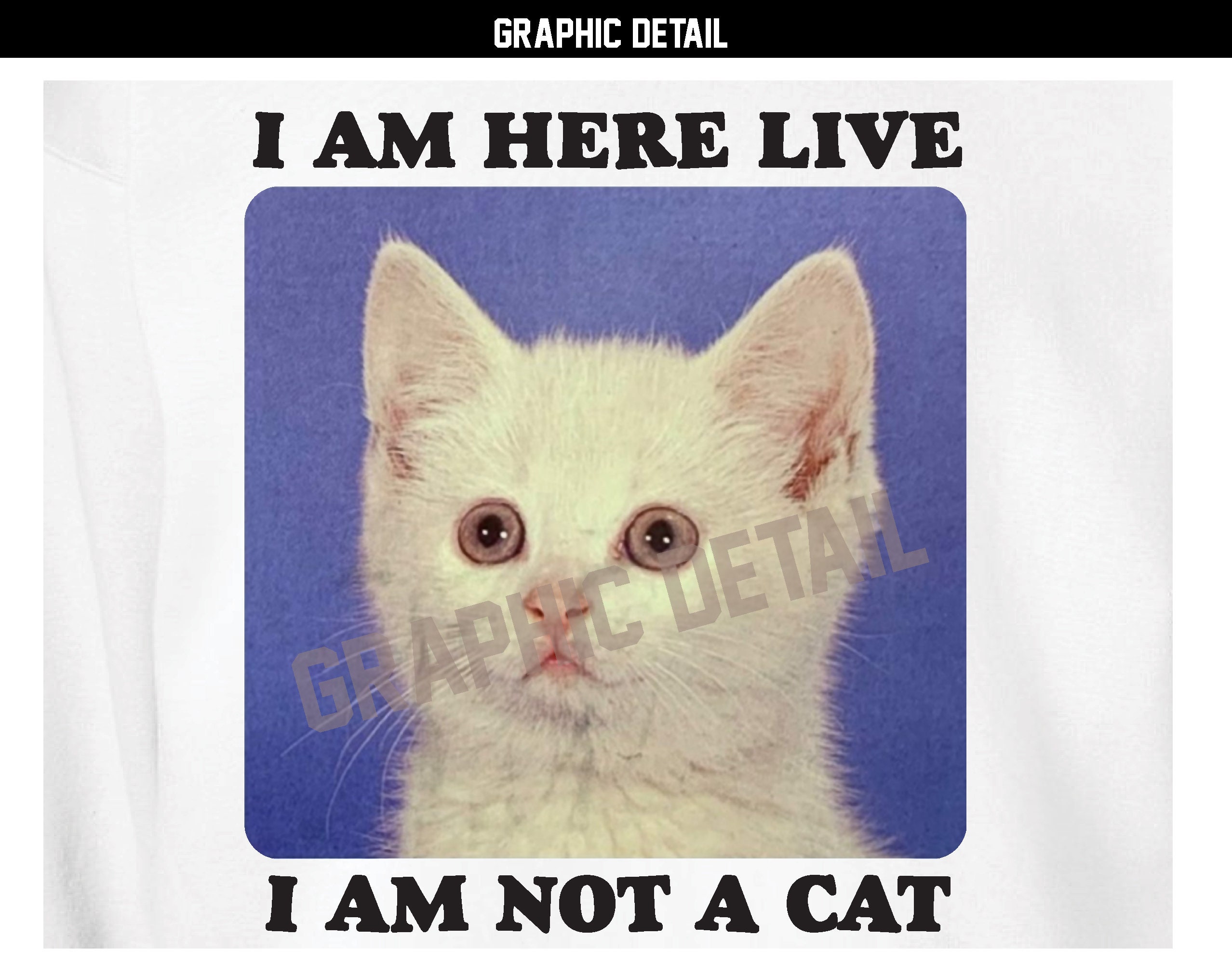 I Am Here Live I Am Not a Cat Meme Scoop Neck Raglan Shirt Etsy UK