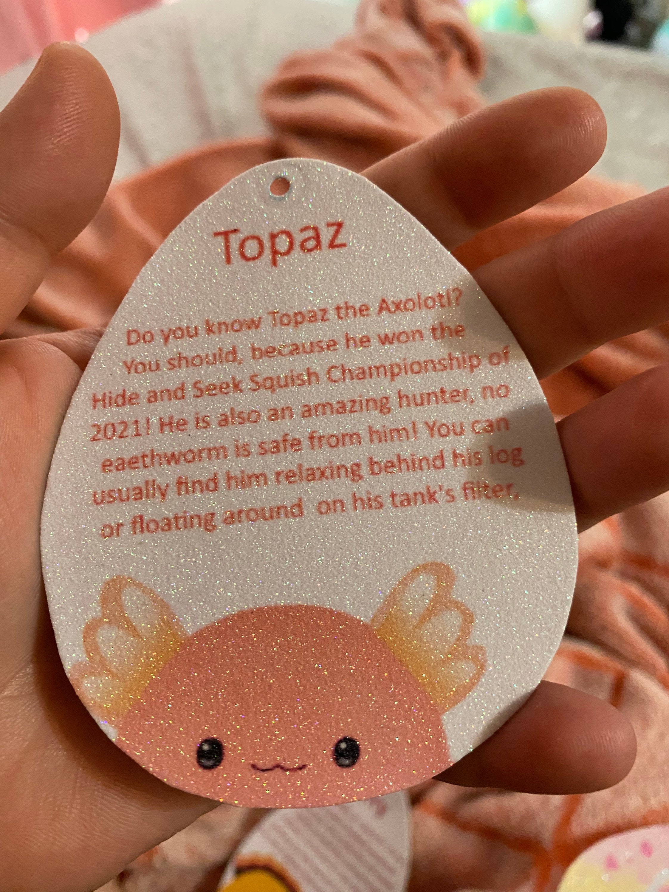 Custom Sparkly Squishmallow Tag Front Bio Tag Etsy