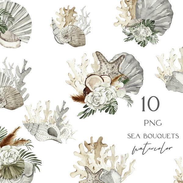 Watercolor marine composition - Clipart seashell and watercolor roses with tropical leaves. Digitel clipart png