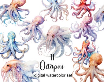 Watercolor octopus clipart png, sea clipart, sea octopus digital