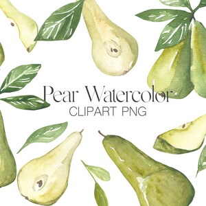 Clipart. Watercolor green pear elements. Digital Clipart PNG