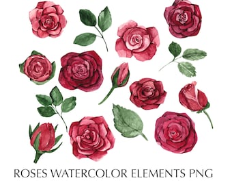 Clipart watercolor red rose flower buds. Digitel clipart PNG