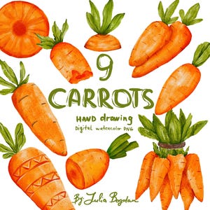 Watercolor carrot clipart png, spring illustrations watercolor digital