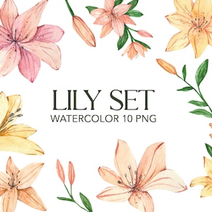 Lilies watercolor clipart. Floral set of yellow and pink lily buds. Png clipart