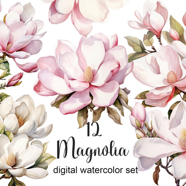 Watercolor magnolia flowers clipart png, white magnolia, pink magnolia, magnolia blossoms